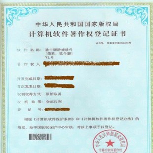 日照市專利申請與版權代理服務全解析